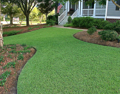 Aerating and Overseeding Your Lawn In Fall - Green Earth Solutions, Inc ...